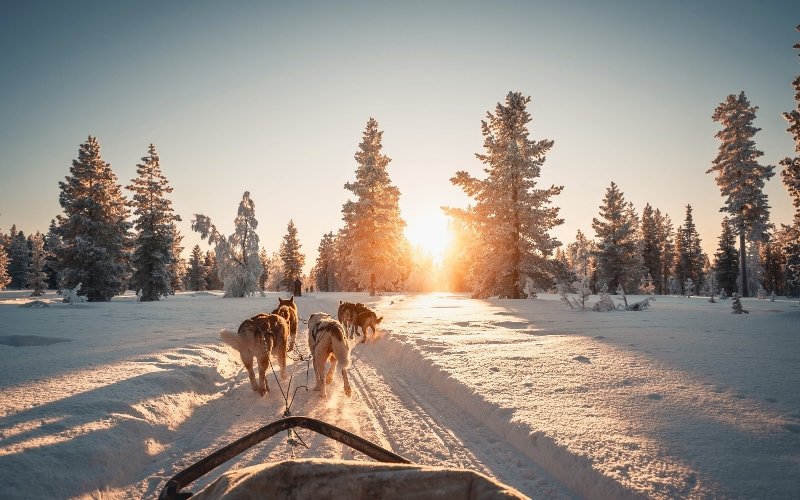 Ivalo finland