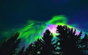 Rovaniemi northern lights